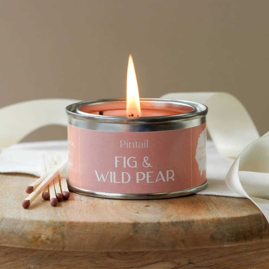 Pintail Candles | Avalon Home Fig and Wild Pear Paint Pot Candle | Fruity Candles In Tins