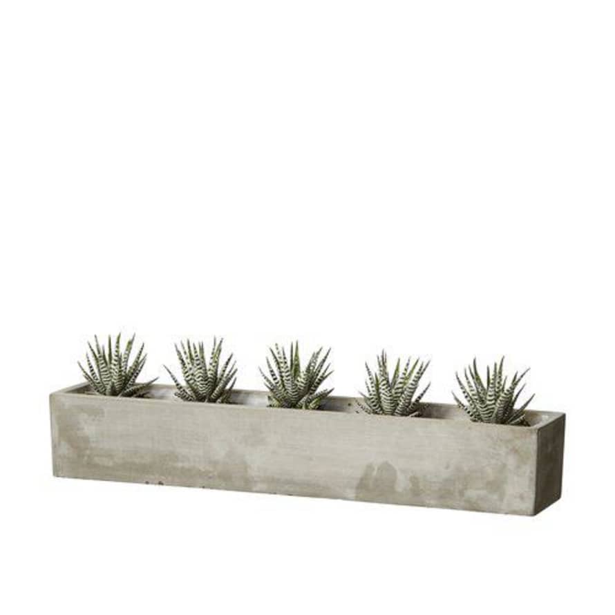 Wikholm Form Siri Planter